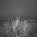 Webcam_20210126-193000