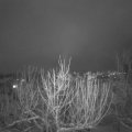 Webcam_20210126-194500
