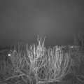 Webcam_20210126-200000
