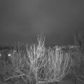 Webcam_20210126-201500