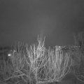 Webcam_20210126-213000