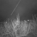Webcam_20210127-061500