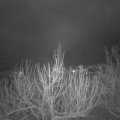 Webcam_20210127-063000