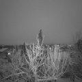 Webcam_20210127-174500
