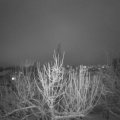 Webcam_20210127-180000