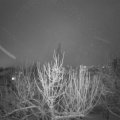 Webcam_20210127-184500