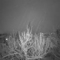 Webcam_20210127-190000