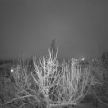 Webcam_20210127-193000