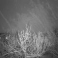 Webcam_20210127-194500
