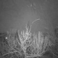 Webcam_20210127-200000