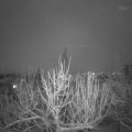 Webcam_20210127-203000