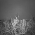 Webcam_20210127-210000