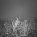 Webcam_20210127-211500