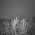Webcam_20210127-214500