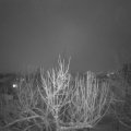 Webcam_20210127-220000