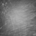 Webcam_20210128-063000