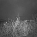 Webcam_20210128-180000