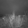 Webcam_20210128-190000