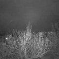 Webcam_20210128-191500