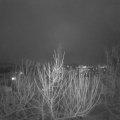 Webcam_20210128-194500