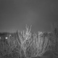 Webcam_20210128-203000