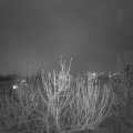 Webcam_20210128-210000