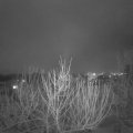 Webcam_20210128-213000