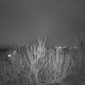Webcam_20210128-214500