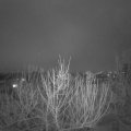 Webcam_20210128-220000