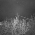 Webcam_20210129-050000