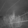 Webcam_20210129-051500