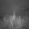 Webcam_20210129-053000