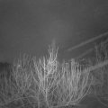 Webcam_20210129-054500