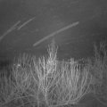 Webcam_20210129-060000