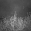 Webcam_20210129-063000