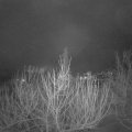 Webcam_20210129-064500