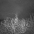 Webcam_20210129-070000