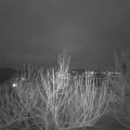 Webcam_20210129-180000