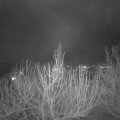 Webcam_20210129-183000