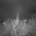 Webcam_20210129-190000