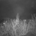 Webcam_20210129-191500