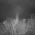 Webcam_20210129-194500