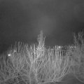 Webcam_20210129-200000