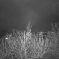 Webcam_20210129-213000