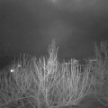Webcam_20210129-220000