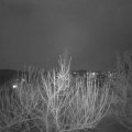 Webcam_20210130-180000