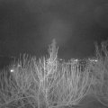 Webcam_20210130-190000