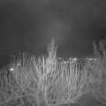 Webcam_20210130-191500