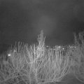Webcam_20210130-194500