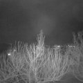 Webcam_20210130-201500